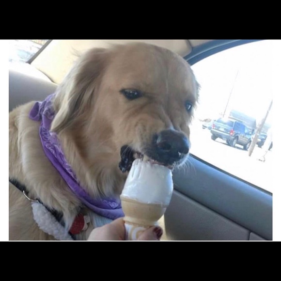 Meet your Posher, Jennifer - Picture 2 of 6